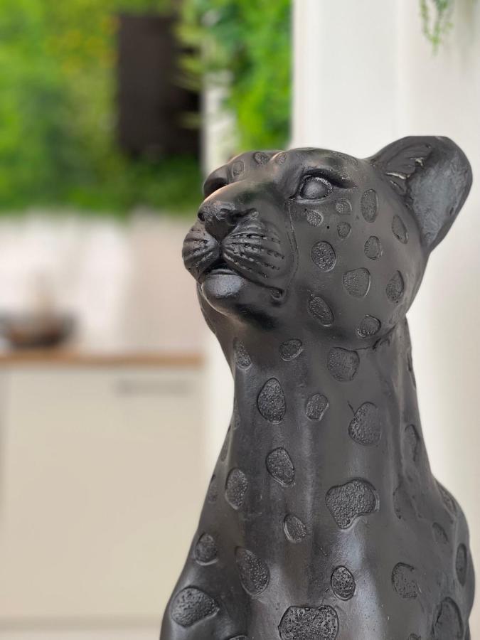 Tous'O'Zoo, Au Coeur Du Centre-Ville Saint-Aignan  Zewnętrze zdjęcie