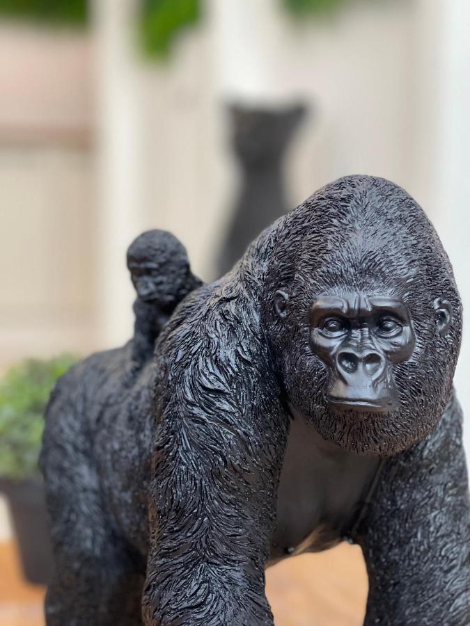 Tous'O'Zoo, Au Coeur Du Centre-Ville Saint-Aignan  Zewnętrze zdjęcie
